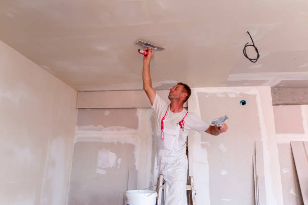 Best Acoustic or Soundproof Drywall Installation  in Grant, MI